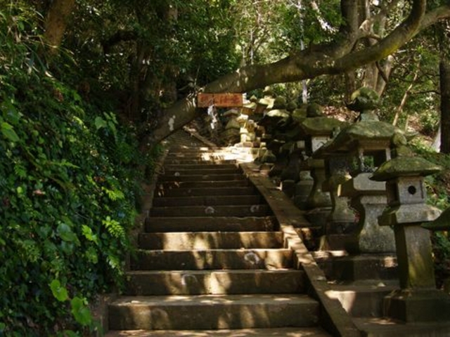 �_�Ђւ̊K�i_��Ԑ_��