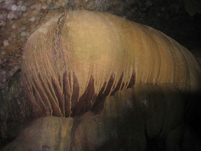 �p���v�L���z�[��_SEA ENJOY