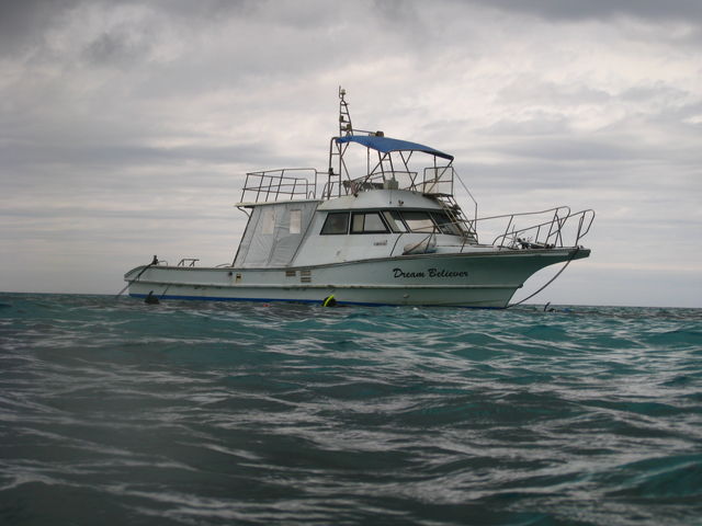 �_�C�r���O�{�[�g_�_�C�r���O�T�[�r�X�ɊC