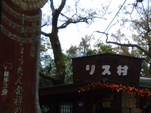 ���ʓ���_���؎R���X��