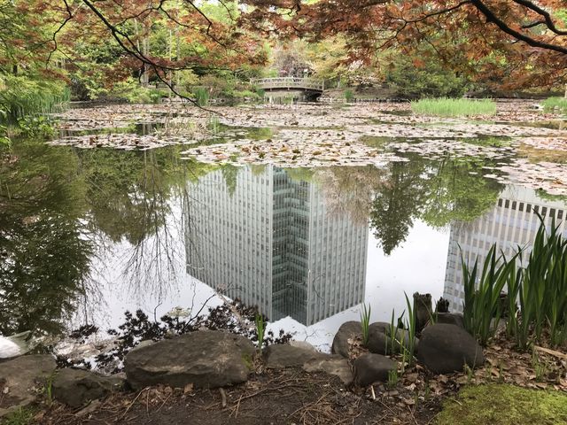 �؂��΂�r���͌����Ȃ����A�r�ɂ͉f��s�v�c�Ȍ��i�B_�k�C�������{����(�Ԃ�񂪒���)