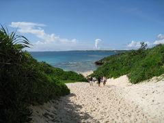 poyon36̍Rr[`ւ̓eʐ^1