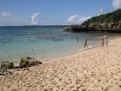 poyon36̍Rr[`ւ̓eʐ^3