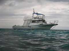 poyon36����̃_�C�r���O�T�[�r�X�ɊC�ւ̓��e�ʐ^1