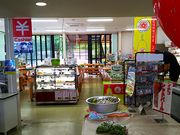 ˂񂳂̍LX̎Opڂ̓eʐ^6