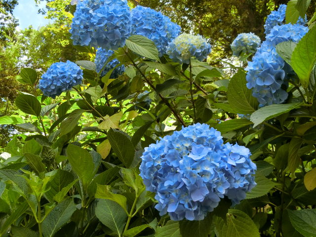 ���J�ω��k�J��