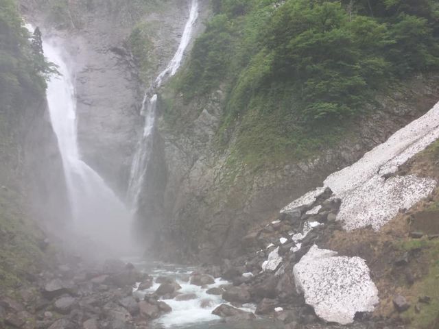 ��ځ@�U���Ȃ̂ɍ��ɂ͑傫�Ȑ�k���c���Ă��܂��B_�̖���