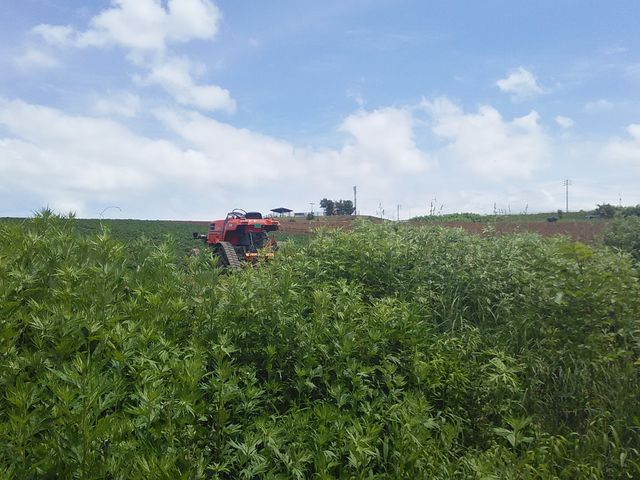 gN^[BɃS[̓W]䂪_ˊOF