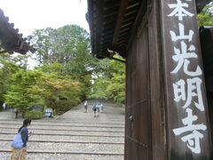 ���܂�����̐��R��y�@���{�R�������ւ̓��e�ʐ^1