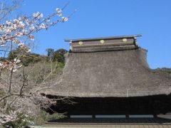 ���Ⴝ�낤����̒������ւ̓��e�ʐ^1