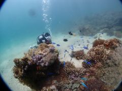 񂳂̃u[A[X21F{ւ̓eʐ^1