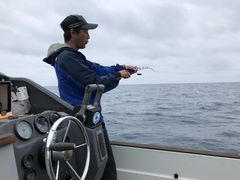 M@̓A@ނ̌tN[Y̎ʐ^1