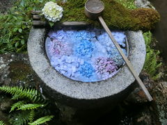 ���܂�����̖��J�ω��k�J���ւ̓��e�ʐ^1