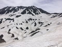 fJ̗RAy[gyxRzւ̓eʐ^2