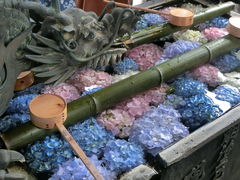 ���܂�����̖��J�ω��k�J���ւ̓��e�ʐ^1