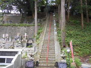 �g�V���[����̐��_���̓��e�ʐ^1