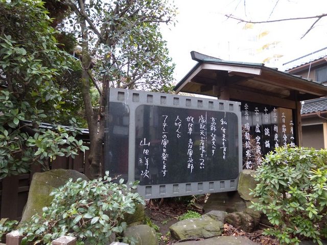 �C�I������̓Ђ���̔�̓��e�ʐ^1