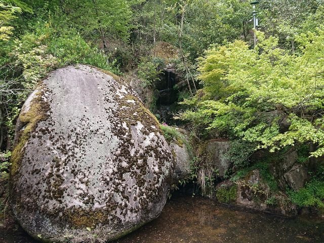 ����Ȋ�_�S�����