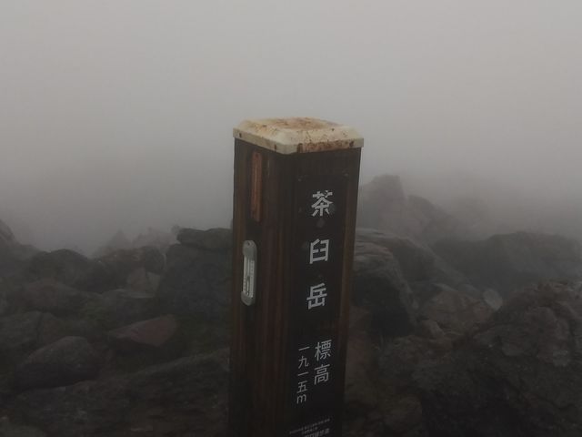 �J�ƔZ���̒��o���A���������ł��B�����x�ɂ܂��\��͒��~�A����V�C�̗ǂ��Ƃ��ɍs���܂��B_�ߐ{���[�v�E�F�C