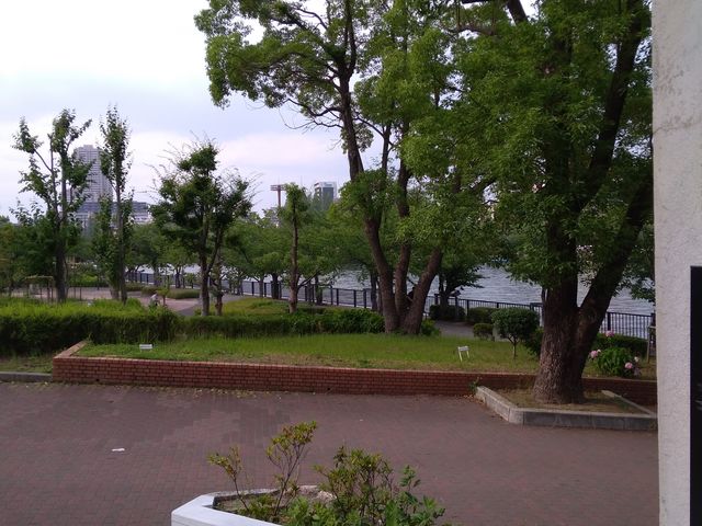 �΂������ł�_�єn���V�{����