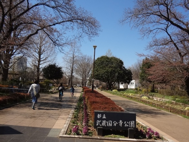 �J�����̂�������ł�_�s����������������