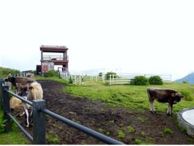 �W�]��Ɛl�����������������B�i�ӂꂠ���q�ꂩ��6���ʂ̏��ɗL��j_����x�m�q��E�ӂꂠ���q��