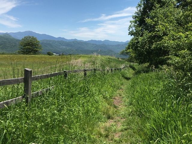 �������Ȃ�����A
����ɂ�����܂��A�B
_����