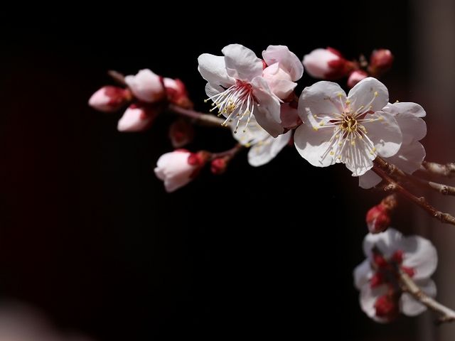 �~���炫�n�߂Ă��܂����B_�I�O�䎛