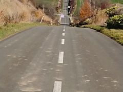 񂳂̃WFbgR[X^[̘Hւ̓eʐ^1