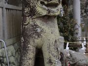 Yanwenli����̎O�c�V���_�Ђ̓��e�ʐ^3