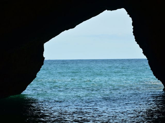 �����Y100�����ŎB�e_���{�A