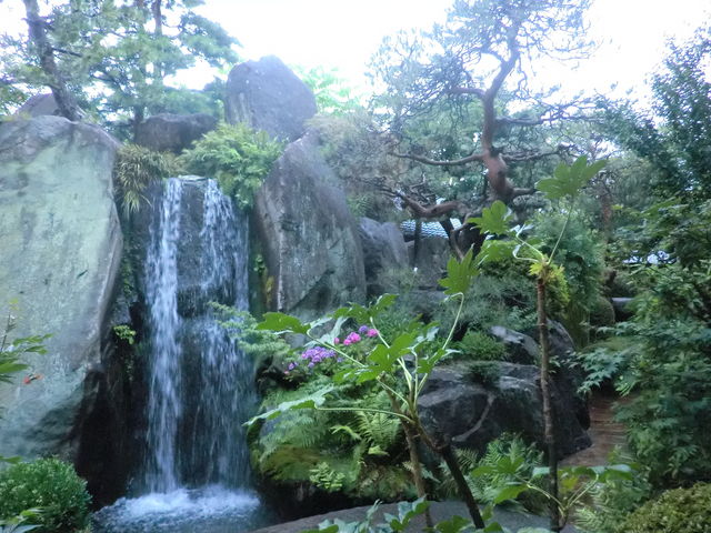 ���������猩���뉀_���΂̏h������