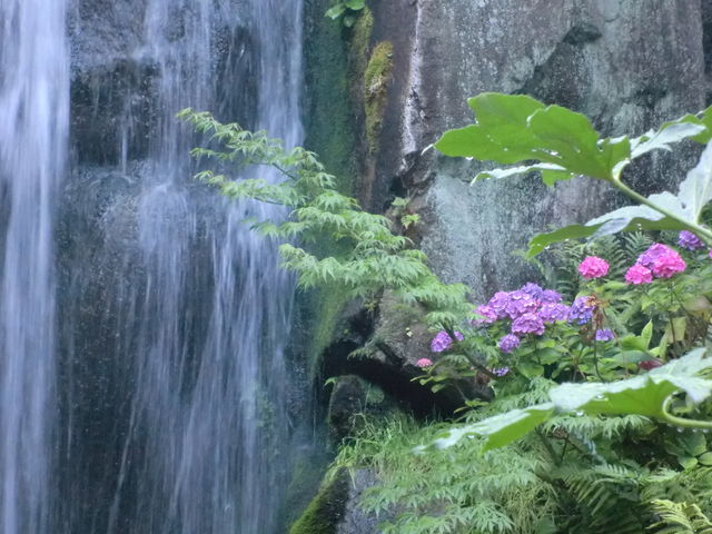 ̂΂ɍ炢Ă鎇zԂYłB_΂̏h