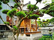 ˂񂳂̌b{_Ђ̓eʐ^4