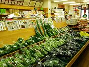 ˂񂳂̓̉w ӂ݃p[Nc̓eʐ^3