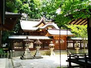 ˂񂳂̊sg_Ђ̓eʐ^4