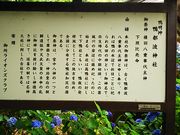 ˂񂳂̊sg_Ђ̓eʐ^5