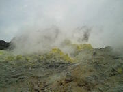 ɂǂ񂳂̐쓒όze̓eʐ^1