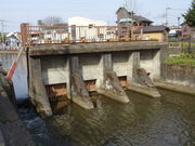 ��������^������񂳂�̐��ˉ͌������̓��e�ʐ^1