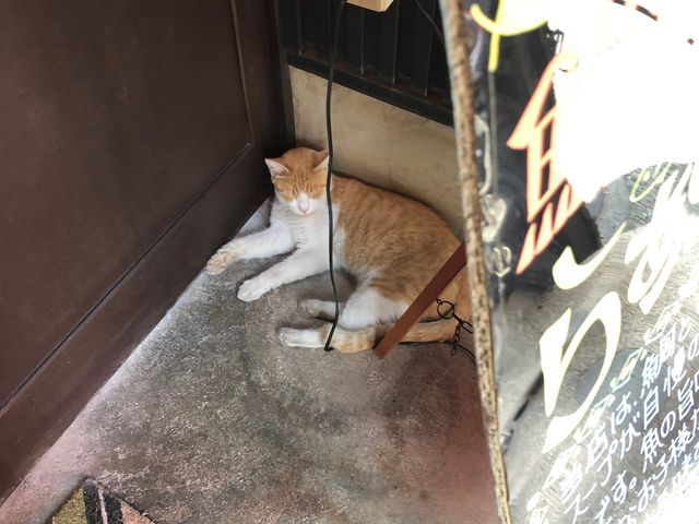 ƂƂƂ炨̂炟߂Ջ@̓eʐ^2