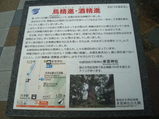 񂲂̒iE𐸐i̓eʐ^1