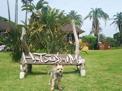 Pica初島の口コミ一覧 じゃらんnet