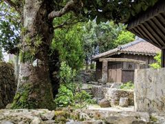 ��������111����̍��w��d�v������ �����ƏZ��ւ̓��e�ʐ^1