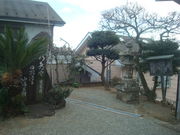 񂲂̎RpV_(ZOg)̓eʐ^2