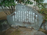 񂲂̎RpV_(ZOg)̓eʐ^3