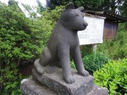 amuchȃٔ_А_a̓eʐ^1