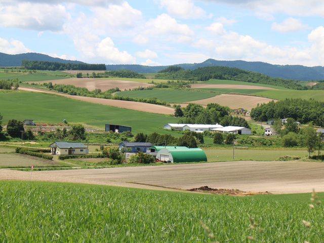 ���H�����̃p�b�`���[�N_�W�F�b�g�R�[�X�^�[�̘H