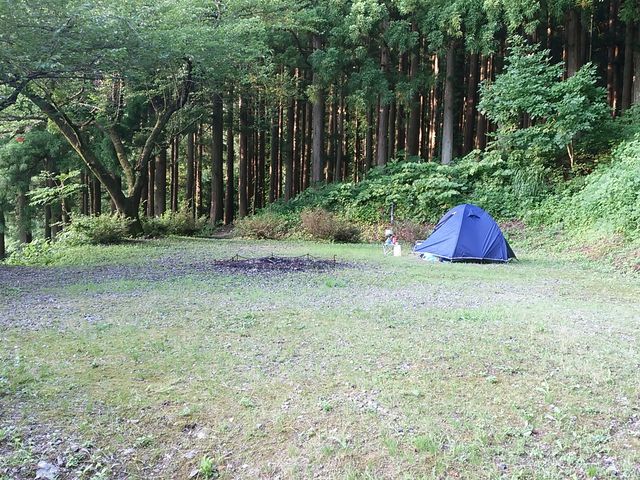 �t���[�T�C�g�̍L��ŁA�O���[�v�Ȃ�y���߂���_��q���X�ь����I�[�g�L�����v��