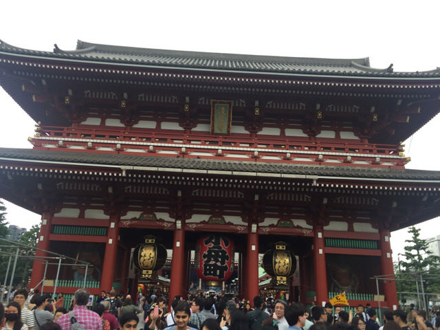 ����Ȗ�ł��B_�󑠖�