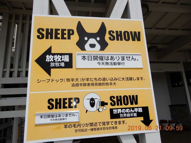 �����Ɍf�����ꂽ�{���́uSHEEP SHOW�v�Ȃ��̊Ŕ�_�m�ʂ߂�r�q��